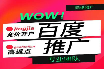 探索专业SEM托管的奥秘：从案例看效果